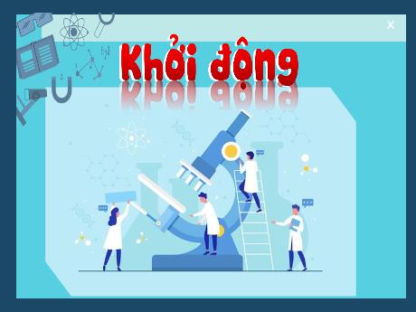 Bài giảng Khoa học 4 (Kết nối tri thức) - Bài 13: Vật dẫn nhiệt và dẫn nhiệt kém - Năm học 2024-2025 - Nguyễn Khoa Thương
