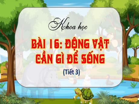 Bài giảng Khoa học 4 (Kết nối tri thức) - Bài 16: Động vật cần gì để sống (Tiết 3) - Năm học 2024-2025 - Nguyễn Khoa Thương