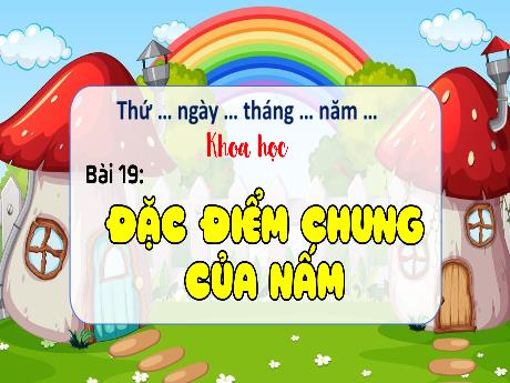 Bài giảng Khoa học 4 (Kết nối tri thức) - Bài 19: Đặc điểm chung của nấm - Năm học 2024-2025 - Nguyễn Khoa Thương