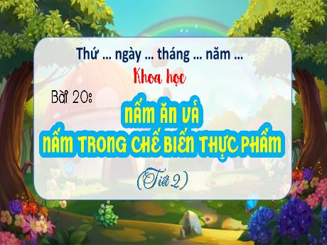 Bài giảng Khoa học 4 (Kết nối tri thức) - Bài 20: Nấm ăn và nấm trong chế biến thực phẩm (Tiết 2) - Năm học 2024-2025 - Nguyễn Khoa Thương
