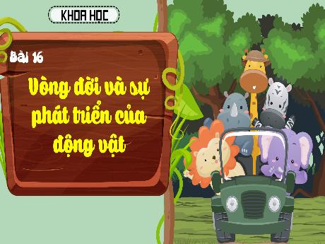 Bài giảng Khoa học 5 (Kết nối tri thức) - Bài 16: Vòng đời và sự phát triển của động vật (Tiế1) - Năm học 2024-2025 - Nguyễn Thị Minh
