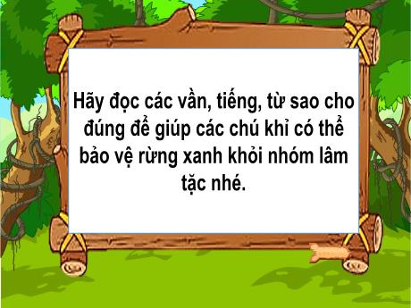Bài giảng Tiếng Việt 1 (Kết nối tri thức) - Bài 38: Ai, ay, ây - Lê Thị Như Tâm