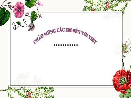 Bài giảng Tiếng Việt 1 (Kết nối tri thức) - Bài 4: Quạt cho bà ngủ - Lê Thị Như Tâm