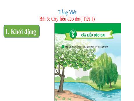 Bài giảng Tiếng Việt 1 (Kết nối tri thức) - Bài 5: Cây liễu dẻo dai (Tiết 1) - Lê Thị Như Tâm