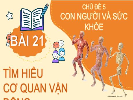 Bài giảng Tiếng Việt 2 (Kết nối tri thức) - Bài 21: Tìm hiểu cơ quan vận động - Năm học 2024-2025 - Nguyễn Thị thu