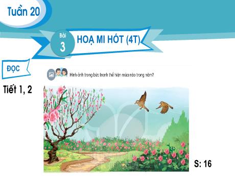 Bài giảng Tiếng Việt 2 (Kết nối tri thức) - Bài 3: Họa mi hót (Tiết 1+2) - Năm học 2024-2025 - Nguyễn Thị thu