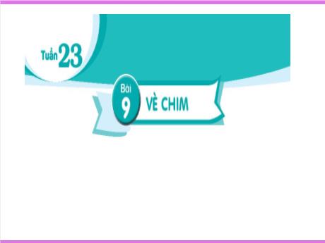 Bài giảng Tiếng Việt 2 (Kết nối tri thức) - Bài 9: Vè chim - Năm học 2024-2025 - Nguyễn Thị thu