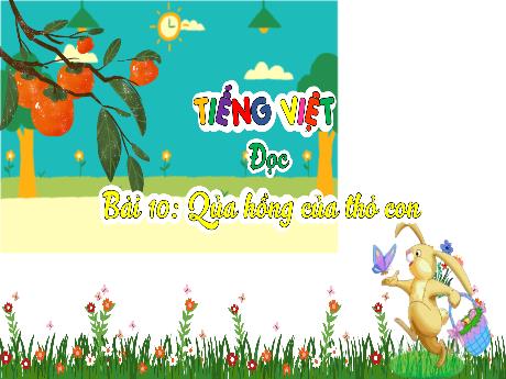 Bài giảng Tiếng Việt 3 (Kết nối tri thức) - Bài 10 (Đọc): Quả hồng của thỏ - Năm học 2024-2025 - Phan Thị Loan