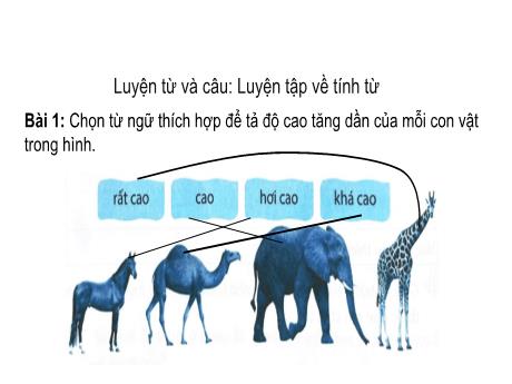 Bài giảng Tiếng Việt 4 (Kết nối tri thức) - Bài: Luyện tập về tính từ - Năm học 2024-2025 - Võ Thị Tuyên