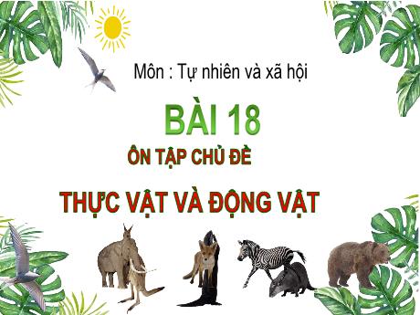 Bài giảng Tự nhiên và xã hội 3 (Kết nối tri thức) - Bài 18: Thực vật và đông vật - Năm học 2024-2025 - Hồ Thị Hương Phúc