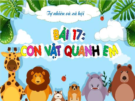 Bài giảng Tự nhiên xã hội 1 (Kết nối tri thức) - Bài 17: Con vật quanh em - Lê Thị Như Tâm