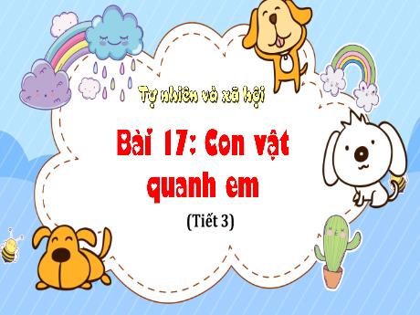 Bài giảng Tự nhiên xã hội 1 (Kết nối tri thức) - Bài 17: Con vật quanh em (Tiết 3) - Lê Thị Như Tâm