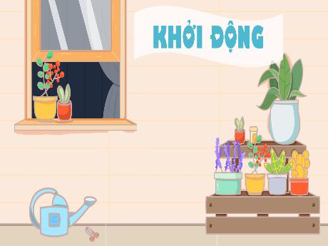 Bài giảng Tự nhiên xã hội 1 (Kết nối tri thức) - Bài 2: Ngôi nhà của em (Tiết 1) - Lê Thị Như Tâm