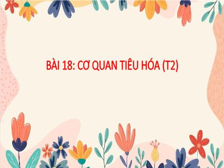 Bài giảng Tự nhiên xã hội 3 (Kết nối tri thức) - Bài: Cơ quan tiêu hóa - Năm học 2023-2024 - Hồ Thị Hương Phúc