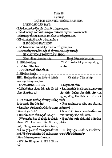 Giáo án Kĩ thuật 4 - Tuần 19 - Bài: Lợi ích của việc trồng rau, hoa - Năm học 2022-2023 - Lê Thị Hồng Xoan